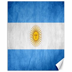 Argentina Texture Background Canvas 16  x 20  