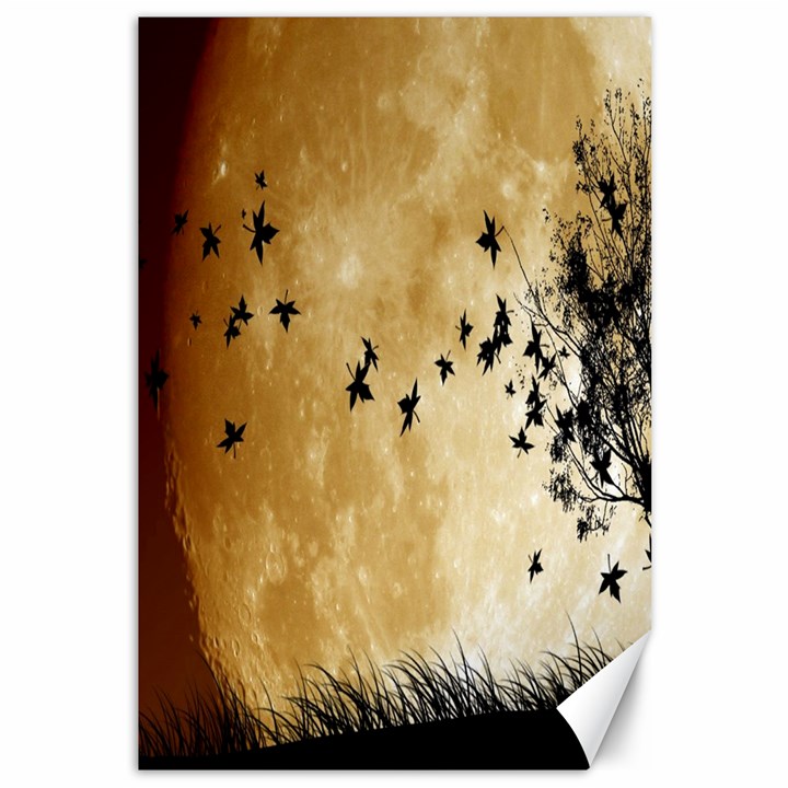 Birds Sky Planet Moon Shadow Canvas 12  x 18  