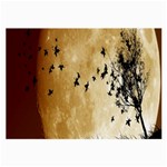 Birds Sky Planet Moon Shadow Large Glasses Cloth (2-Side) Back