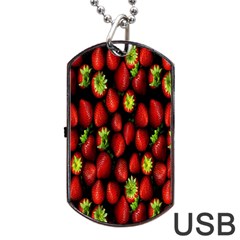 Berry Strawberry Many Dog Tag Usb Flash (one Side)