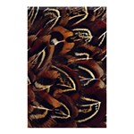 Feathers Bird Black Shower Curtain 48  x 72  (Small)  Curtain(48  X 72 ) - 42.18 x64.8  Curtain(48  X 72 )