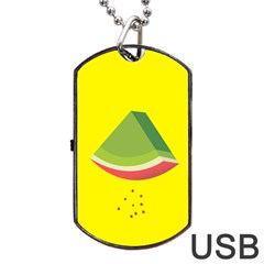 Fruit Melon Sweet Yellow Green White Red Dog Tag Usb Flash (two Sides)