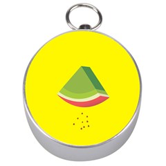 Fruit Melon Sweet Yellow Green White Red Silver Compasses by Alisyart