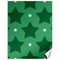 Green White Star Canvas 12  X 16  