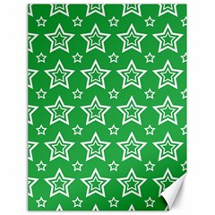 Green White Star Line Space Canvas 18  X 24   by Alisyart