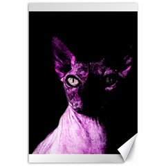 Pink Sphynx Cat Canvas 12  X 18   by Valentinaart