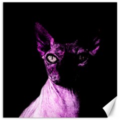 Pink Sphynx Cat Canvas 16  X 16   by Valentinaart