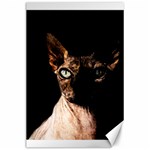 Sphynx cat Canvas 24  x 36  23.35 x34.74  Canvas - 1