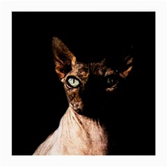 Sphynx Cat Medium Glasses Cloth (2-side) by Valentinaart