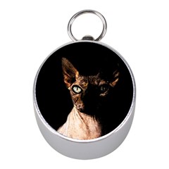 Sphynx Cat Mini Silver Compasses by Valentinaart