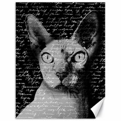 Sphynx Cat Canvas 18  X 24   by Valentinaart