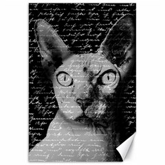 Sphynx Cat Canvas 20  X 30   by Valentinaart