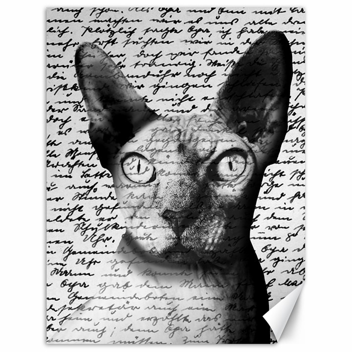 Sphynx cat Canvas 18  x 24  