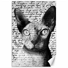 Sphynx cat Canvas 24  x 36 