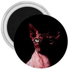 Sphynx cat 3  Magnets