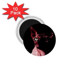 Sphynx cat 1.75  Magnets (10 pack) 