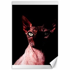 Sphynx cat Canvas 12  x 18  