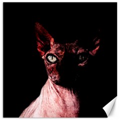 Sphynx Cat Canvas 20  X 20   by Valentinaart