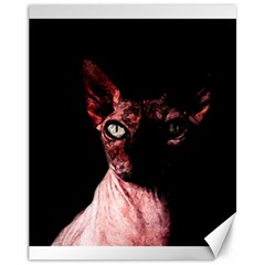 Sphynx cat Canvas 11  x 14  