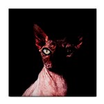 Sphynx cat Face Towel Front