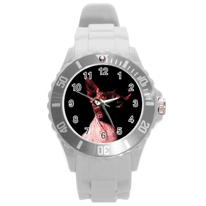 Sphynx cat Round Plastic Sport Watch (L)