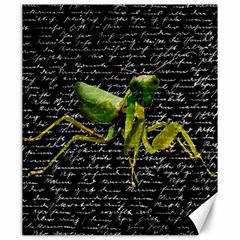 Mantis Canvas 20  X 24   by Valentinaart