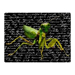 Mantis Double Sided Flano Blanket (mini)  by Valentinaart