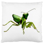 Mantis Large Cushion Case (One Side) Front