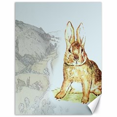 Rabbit  Canvas 18  X 24   by Valentinaart