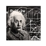 Albert Einstein Small Satin Scarf (Square) Front