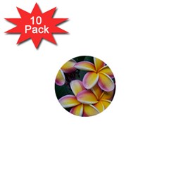 Premier Mix Flower 1  Mini Buttons (10 Pack)  by alohaA