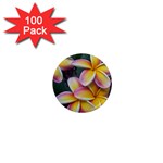 Premier Mix Flower 1  Mini Magnets (100 pack)  Front