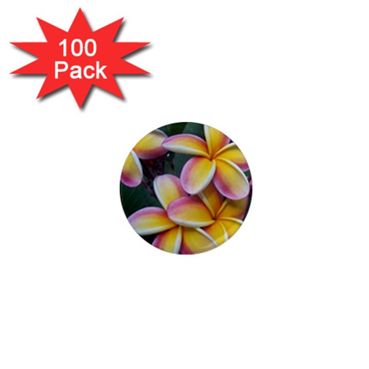 Premier Mix Flower 1  Mini Magnets (100 pack) 