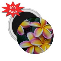 Premier Mix Flower 2 25  Magnets (100 Pack)  by alohaA