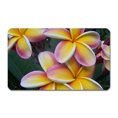 Premier Mix Flower Magnet (Rectangular)