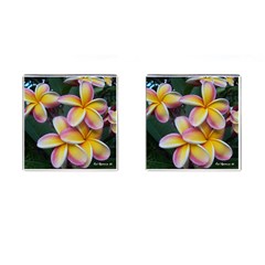 Premier Mix Flower Cufflinks (square)