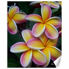 Premier Mix Flower Canvas 16  x 20  