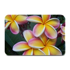 Premier Mix Flower Plate Mats