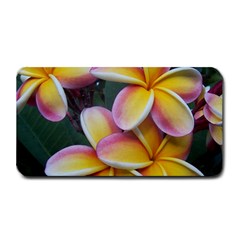 Premier Mix Flower Medium Bar Mats