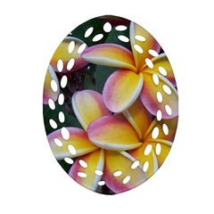 Premier Mix Flower Ornament (Oval Filigree)