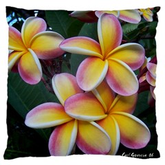 Premier Mix Flower Large Flano Cushion Case (Two Sides)