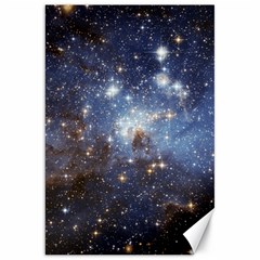 Large Magellanic Cloud Canvas 20  X 30   by SpaceShop