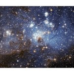 Large Magellanic Cloud Deluxe Canvas 14  x 11  14  x 11  x 1.5  Stretched Canvas