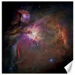 Orion Nebula Canvas 16  X 16   by SpaceShop