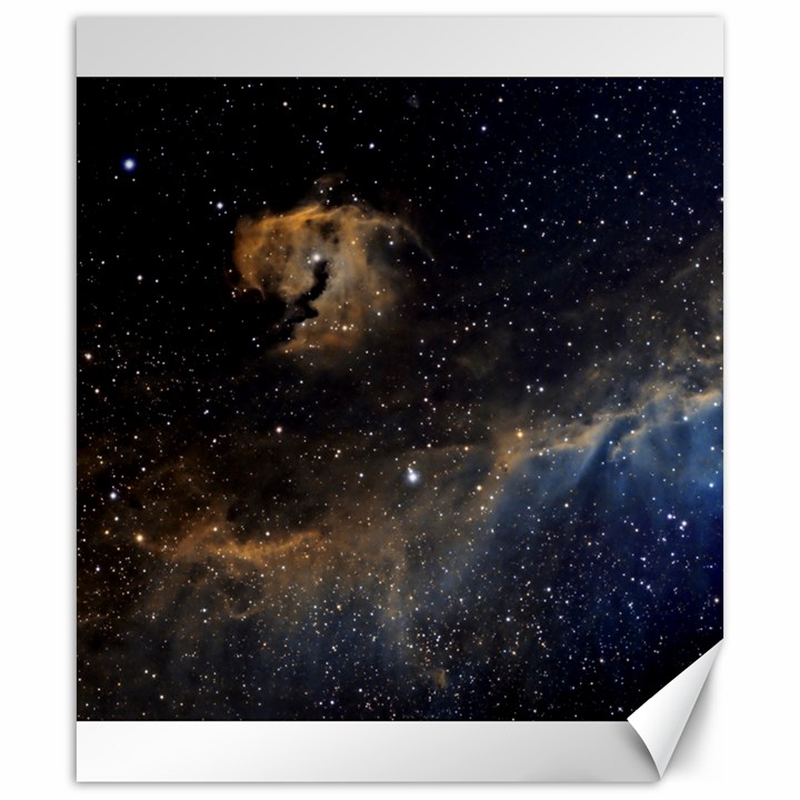 Seagull Nebula Canvas 20  x 24  