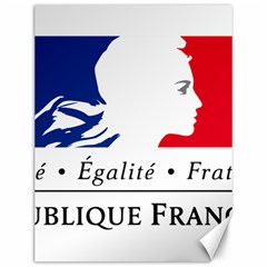 Symbol Of The French Government Canvas 12  X 16  