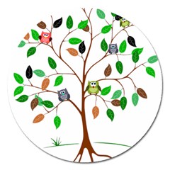 Tree Root Leaves Owls Green Brown Magnet 5  (round) by Simbadda