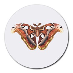 Butterfly Animal Insect Isolated Round Mousepads by Simbadda