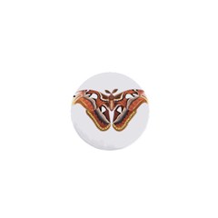 Butterfly Animal Insect Isolated 1  Mini Buttons by Simbadda