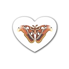 Butterfly Animal Insect Isolated Heart Coaster (4 Pack)  by Simbadda